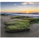 Landscapes of America - Mini