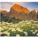 Good Value(TM) Landscapes of America - Mini Calendar