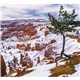 Landscapes of America - Mini
