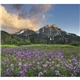 Landscapes of America - Mini