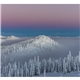 Good Value(TM) Landscapes of America - Mini Calendar