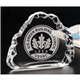 Iceburg Award
