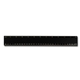Pro - Scale 12 Plastic Ruler