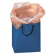 Non - Woven Gift Bag