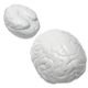 Brain - Stress Reliever