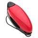 Pro Visor Sunglasses Clip