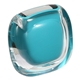 Clearview Pedometer