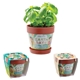 Snap - In Blossom Kit