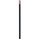 Cost Buster Pencil