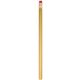 Cost Buster Pencil