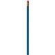 Cost Buster Pencil