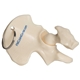 Hip Bone Keyring