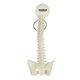 Spine And Pelvis Bone Keyring