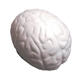 Brain Squeezies - Stress Reliever