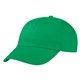 Price Buster Cap
