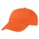 Price Buster Cap