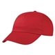 Price Buster Cap