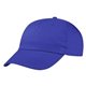 Price Buster Cap