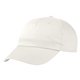Price Buster Cap