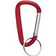 Small Carabiner Key Ring