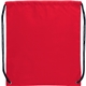 Oriole Polyester Drawstring Bag