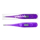 Digital Thermometer