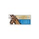 Horse - Die Cut Magnets