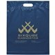 Die Cut Handle Bag 15x19x3