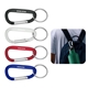 Small Carabiner