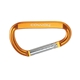 Small Carabiner