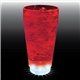 20 oz 5- Light Plastic Pint Cup