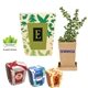 Promo Planter, 1- Pack Planter