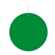 Green Circle Plastic Medallion Badges