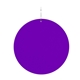2 1/2 Purple Circle Plastic Medallion Badges