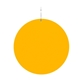 2 1/2 Gold Circle Plastic Medallion Badges