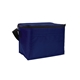 Budget 6- Pack Cooler Bag