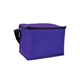 Budget 6- Pack Cooler Bag