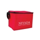 Budget 6- Pack Cooler Bag