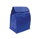 Budget Lunch Cooler Bag
