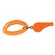 Whistle With Coil