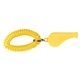 Whistle With Coil