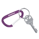 Carabiner Keychain