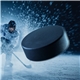 Hockey Puck