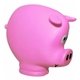 Pocket Piggy Coin Holder
