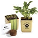Flower Pot Set With Basil Seeds