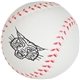 Baseball Stress Reliever
