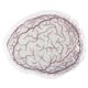 Brain Hot / Cold Pack