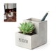 Kikkerland Small Concrete Desk Planter