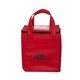Non - Woven Cubic Lunch Cooler Bag With ID Slot