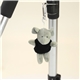 Chelsea Teddy Bear(TM) Wild Bunch Key Tags - 4 Plush